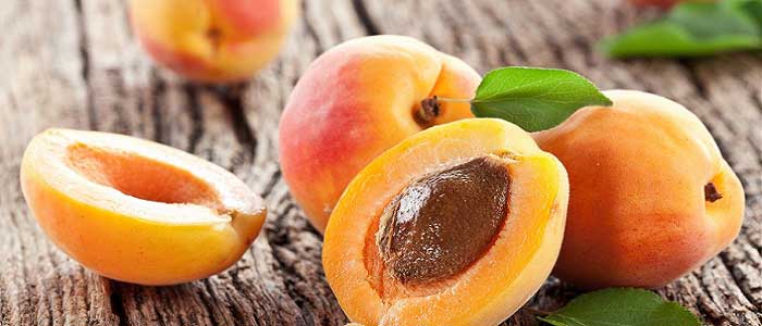 Meypal sulu ve aromatik olgun kayısılar