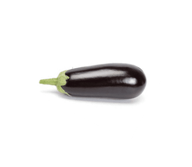 Oval Siyah Patlıcan
